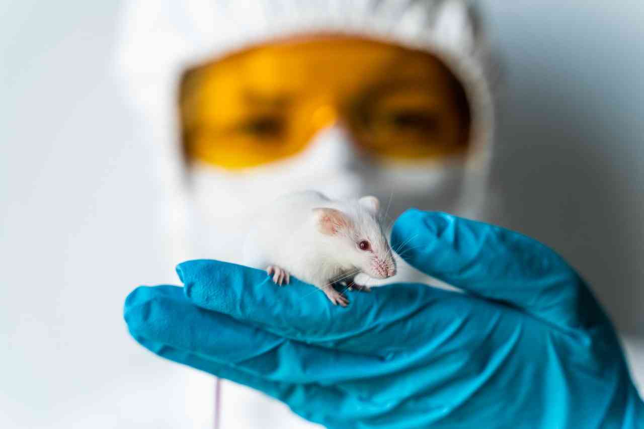 Kadar Glukosa Darah Tikus Wistar Diabetes Akibat Streptozotocin