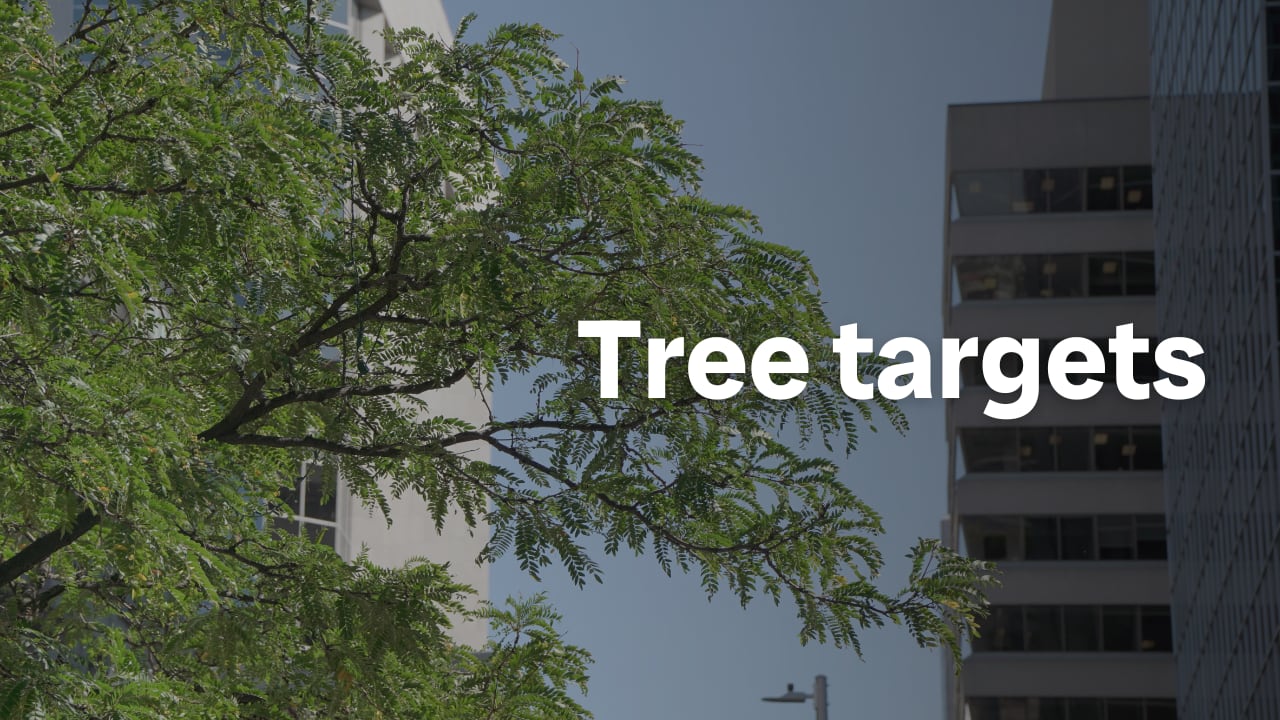 Ottawa's tree targets tied up in red tape, environmentalists say