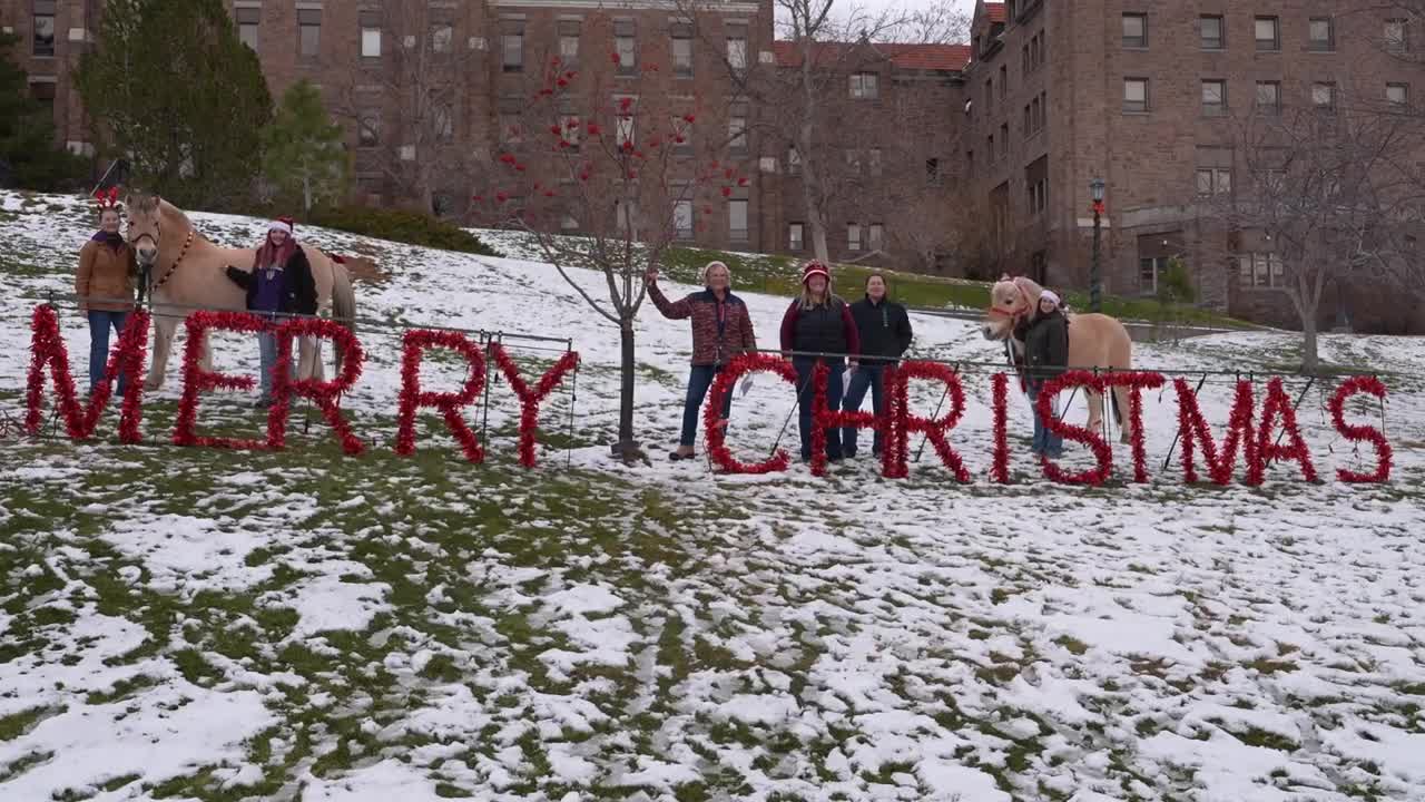 Carroll College Anthrozoology horses bring the cheer for the holidays