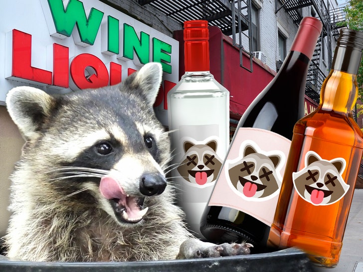 Viral 'Drunk Raccoon' liquor store releases three cocktails