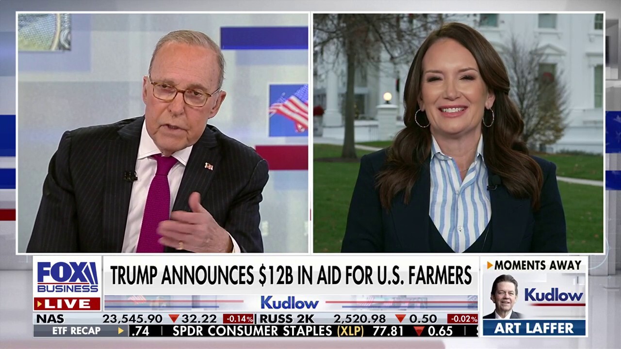 President Trump announces $12 billion in aid for US farmers