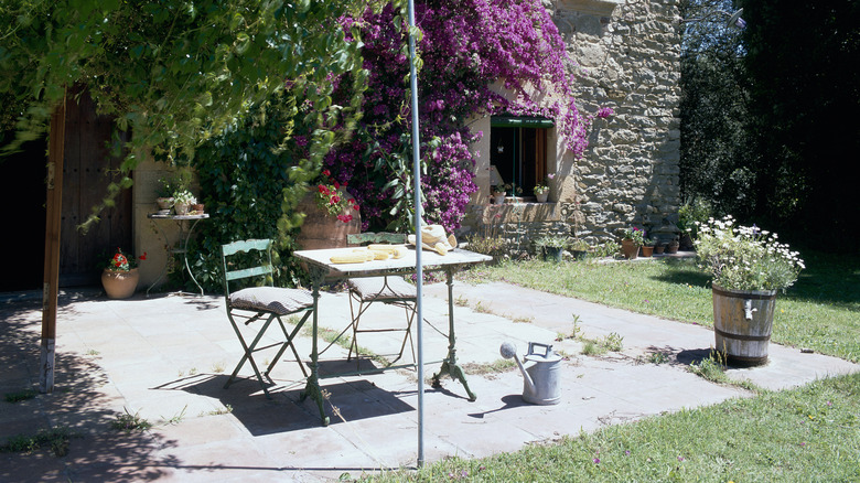 The simple planter upgrade that'll add some color to your boring patio