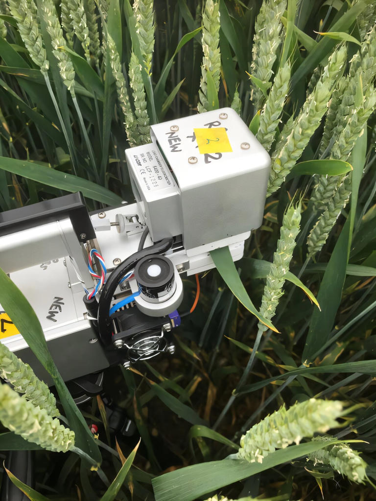 Review offers new ideas for improving photosynthesis in agricultural ...