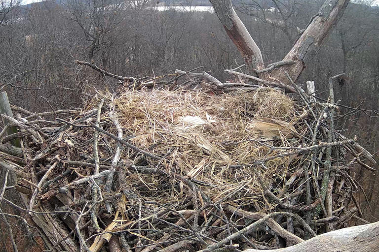 toyota-p-edstavuje-gr-gt-v-konn-supersport-s-hybridn-m-motorem-v8-biturbo