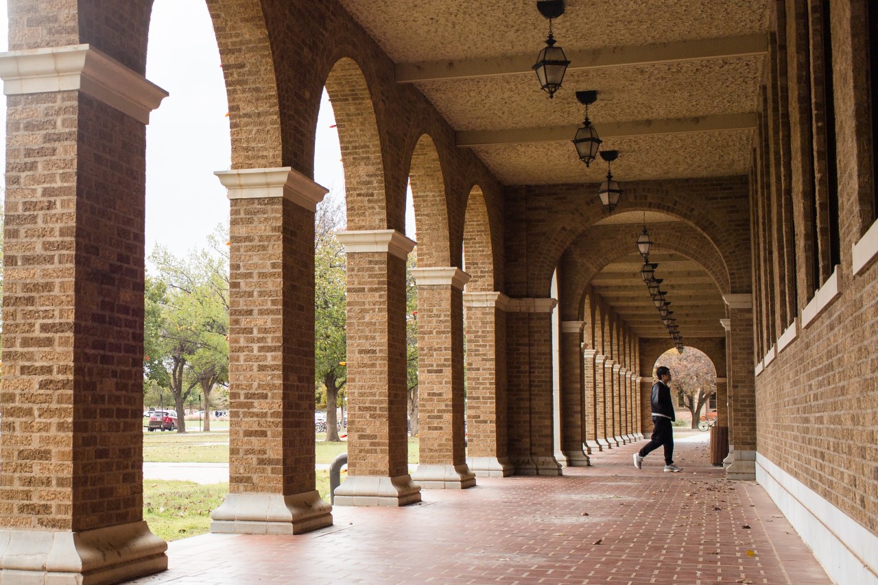 The curriculum flowchart that has Texas professors up in arms