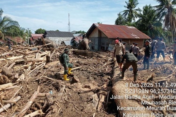 BKSDA pastikan kesehatan 4 gajah pelatih dalam bantu evakuasi pasca-bencana Aceh
