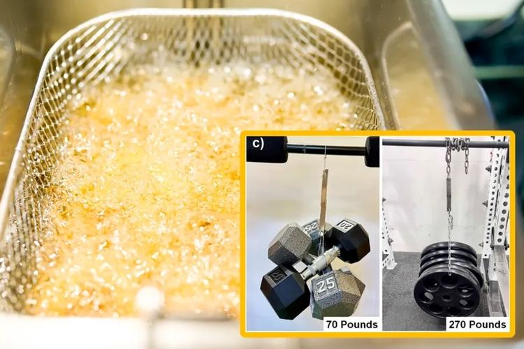 Ilmuwan Ciptakan Lem Super dari Minyak Goreng Bekas, Mampu Menarik Mobil