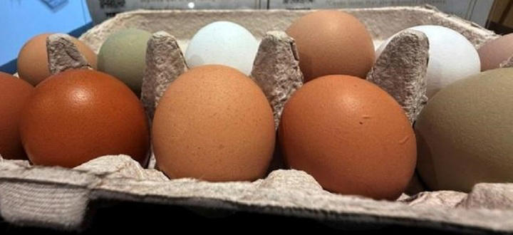 Trứng gà màu nâu tốt hơn màu trắng??