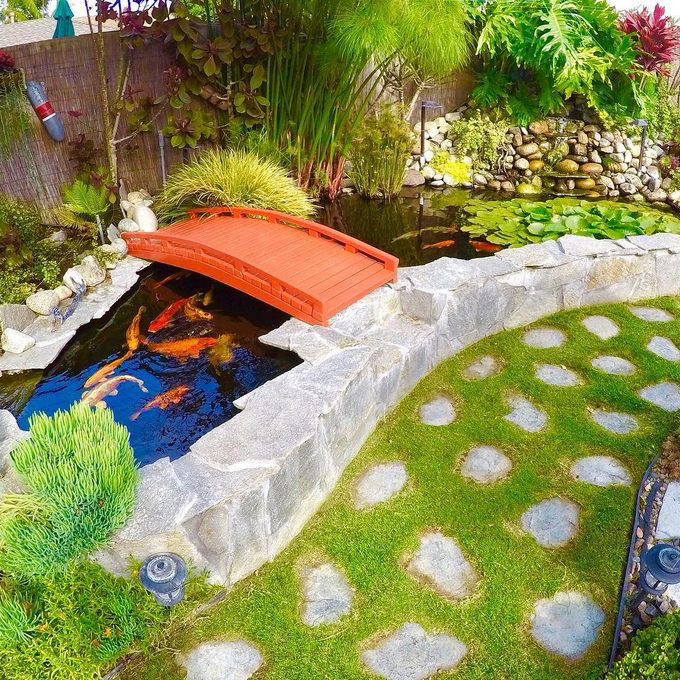 8 backyard koi pond ideas