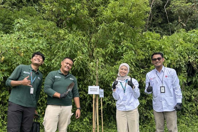 Lindungi Ekosistem, Kebun Raya Bali Tanam 130 Bibit Cemara di Danau Tamblingan