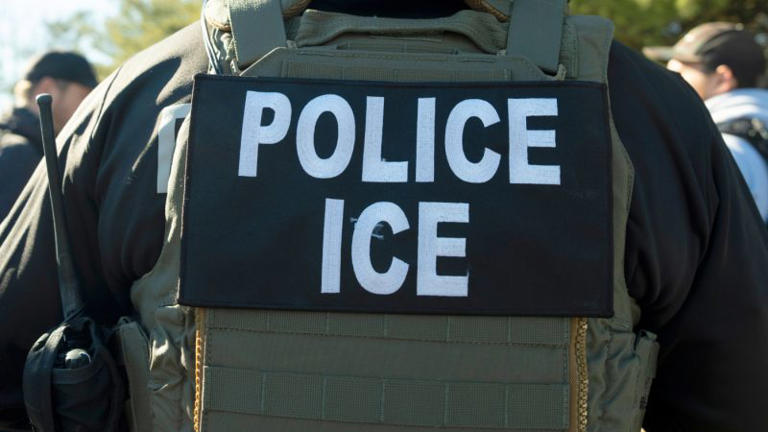 Completely unexpected — immigrant detained by ICE during final green ...