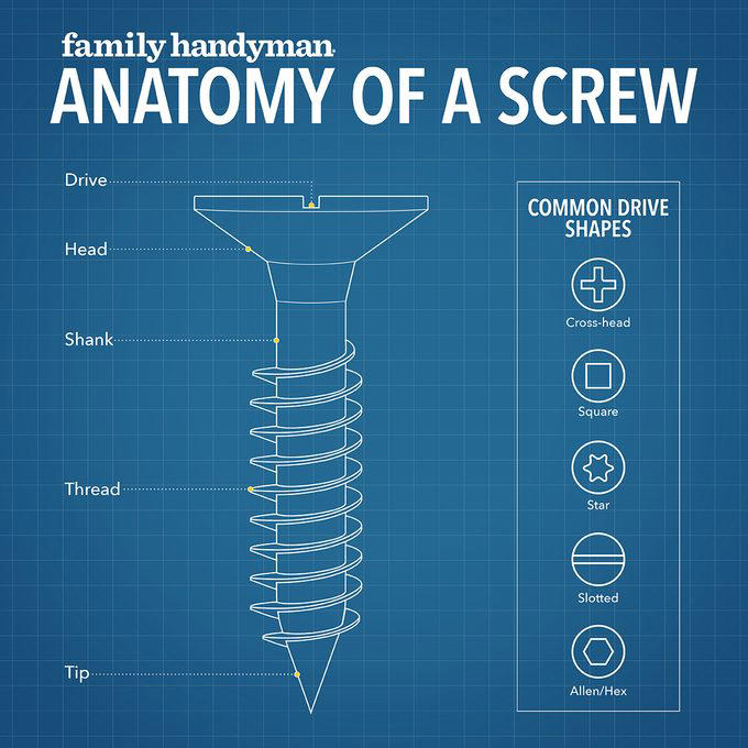 6 types of screws every DIYer needs to know