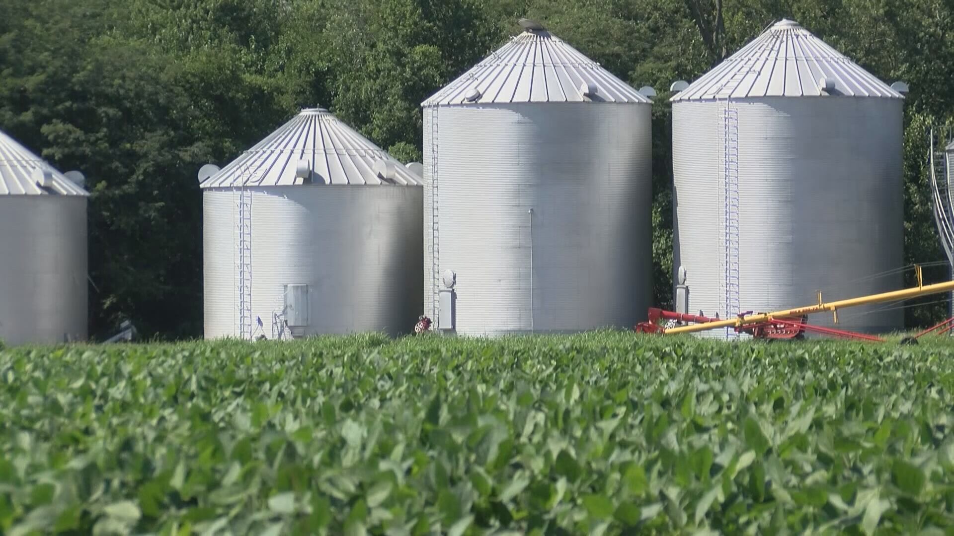 Heartland farmer reacts to Trump’s $12B aid package