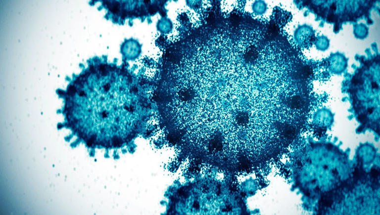 Des scientifiques découvrent un nouvel effet du COVID qui pourrait tout ...