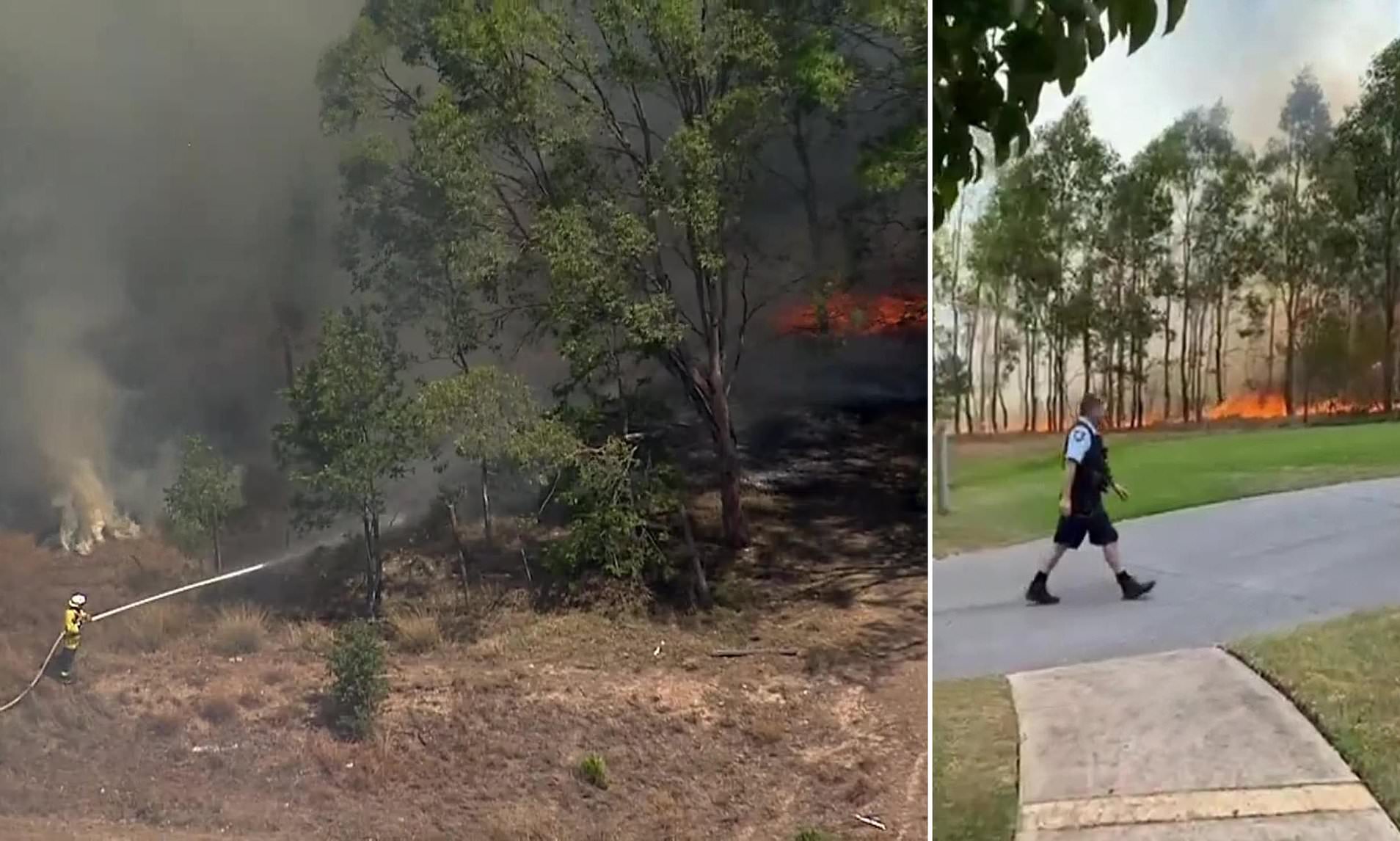 Two teenage 'firebugs' arrested after ferocious bushfire came within ...
