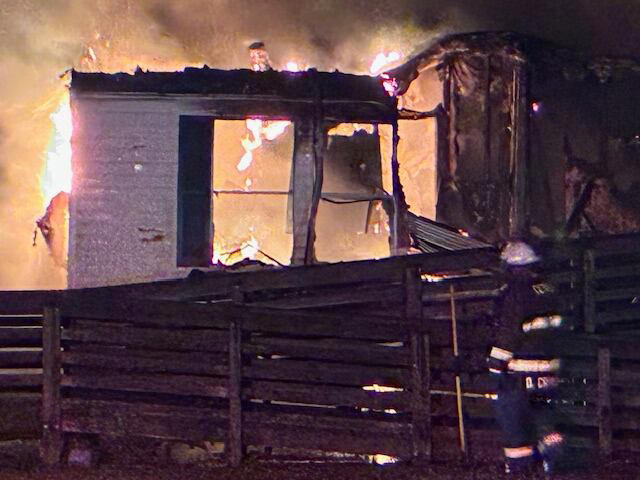 Overnight fire destroys Bladen County mobile home