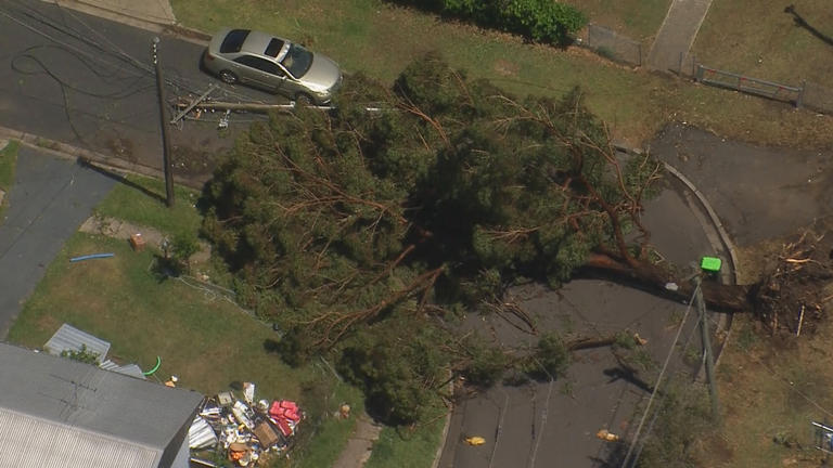 Thousands remain without power as NSW faces huge storm clean up