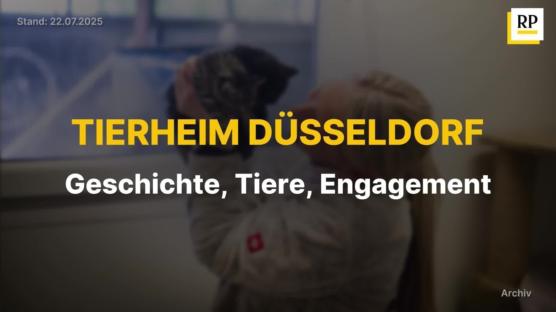Tierheim Düsseldorf: Geschichte, Tiere, Engagement