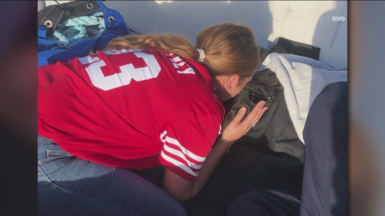 San Diego lifeguards rescue black lab swept out to sea at Dog Beach