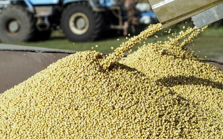 China buys 10 US soybean cargoes in new deals after Trump-Xi call