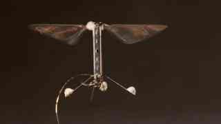 Why MIT Engineers Are Developing Ultra-Small Robotic Bugs