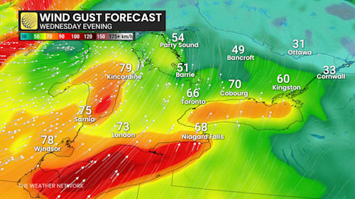 Lake-effect snow squalls could bring up to 50 cm to parts of southern ...