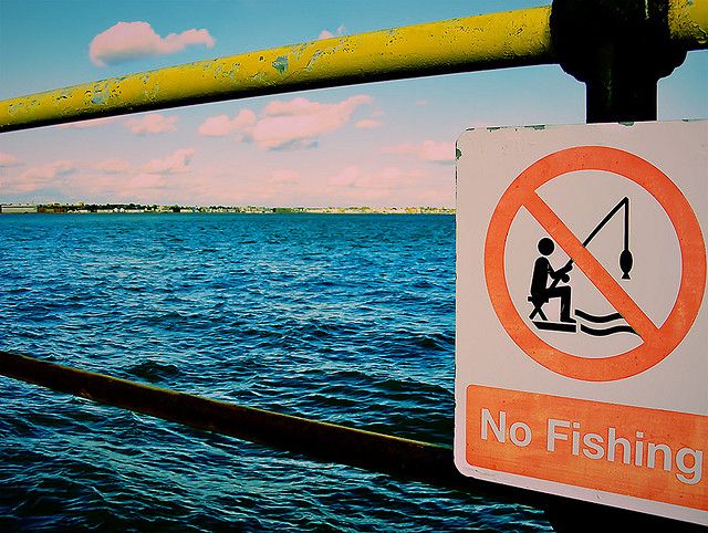 « Une mer sans poissons » : catastrophisme outrancier ou véritable ...