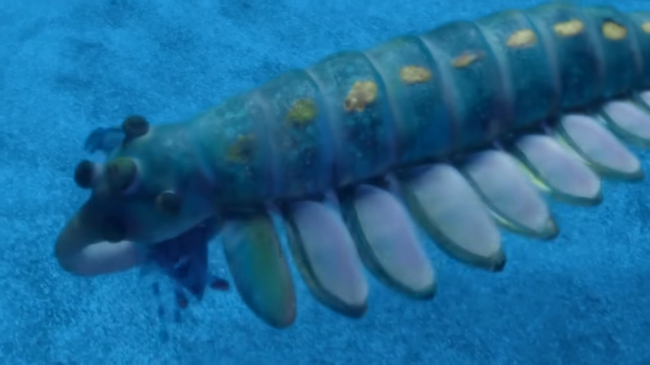 The untold story of Earth’s beta version before evolution began