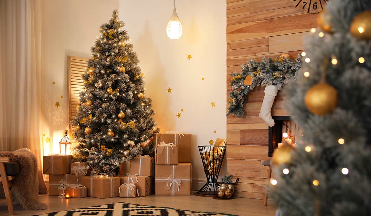 Kavanagh christmas trees