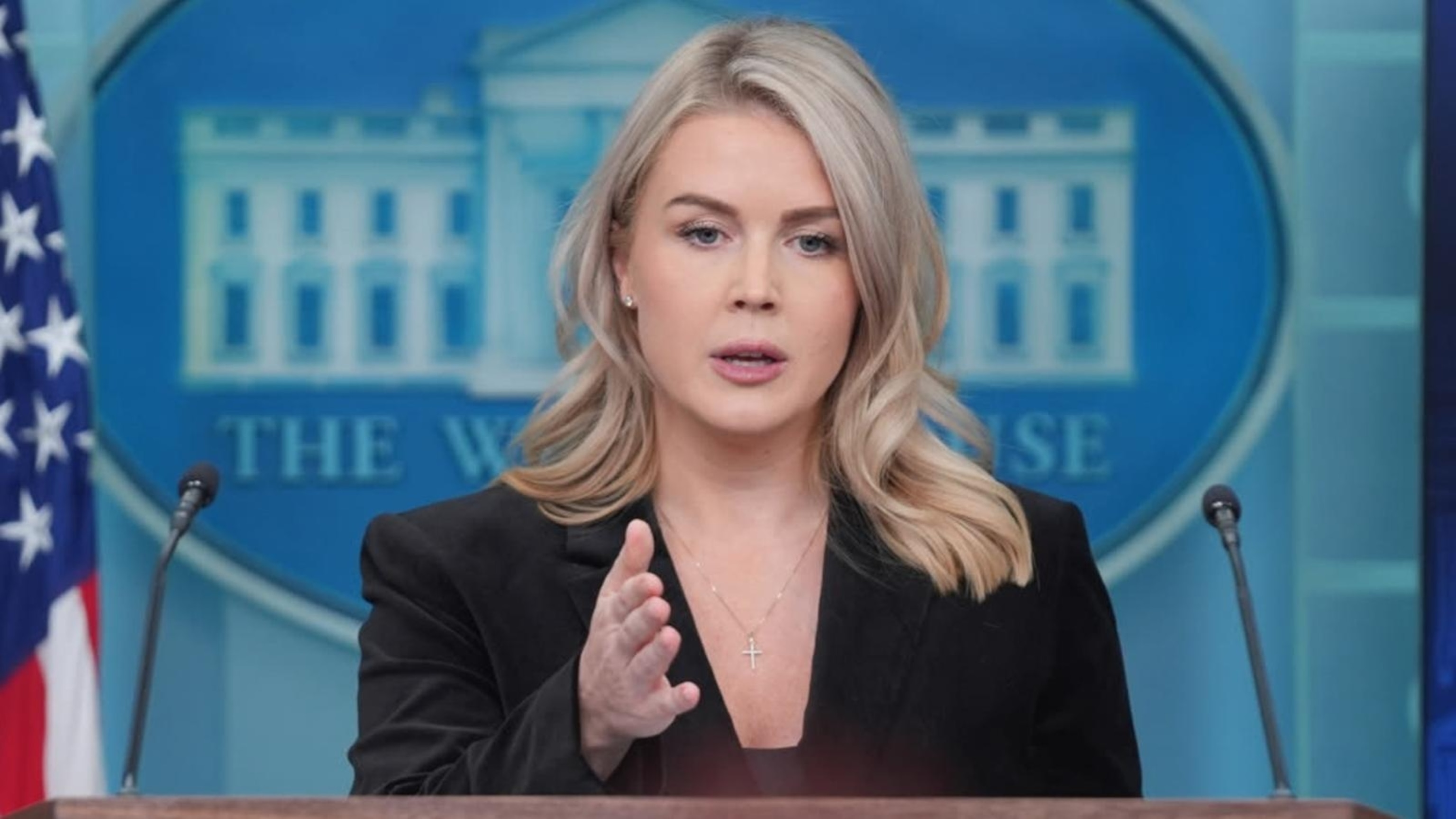 ICE arrests woman with family link to White House press secretary ...