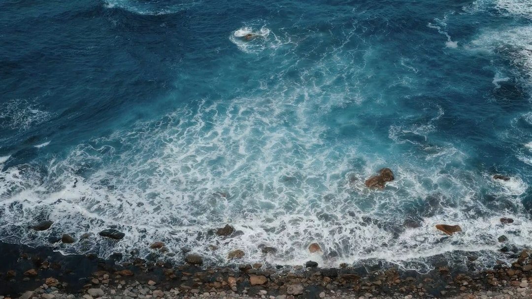 Why the Ocean's Color Is Gradually Changing