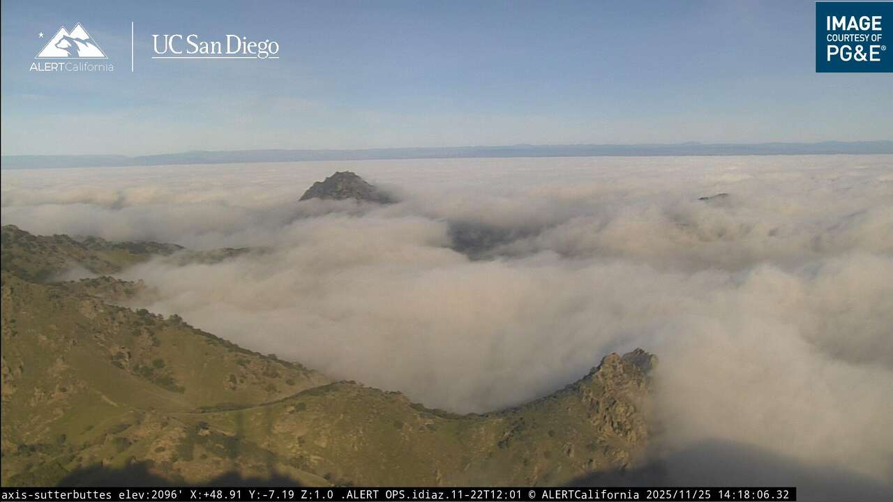 Dense fog could linger in these parts of the Bay Area. Here's what to ...