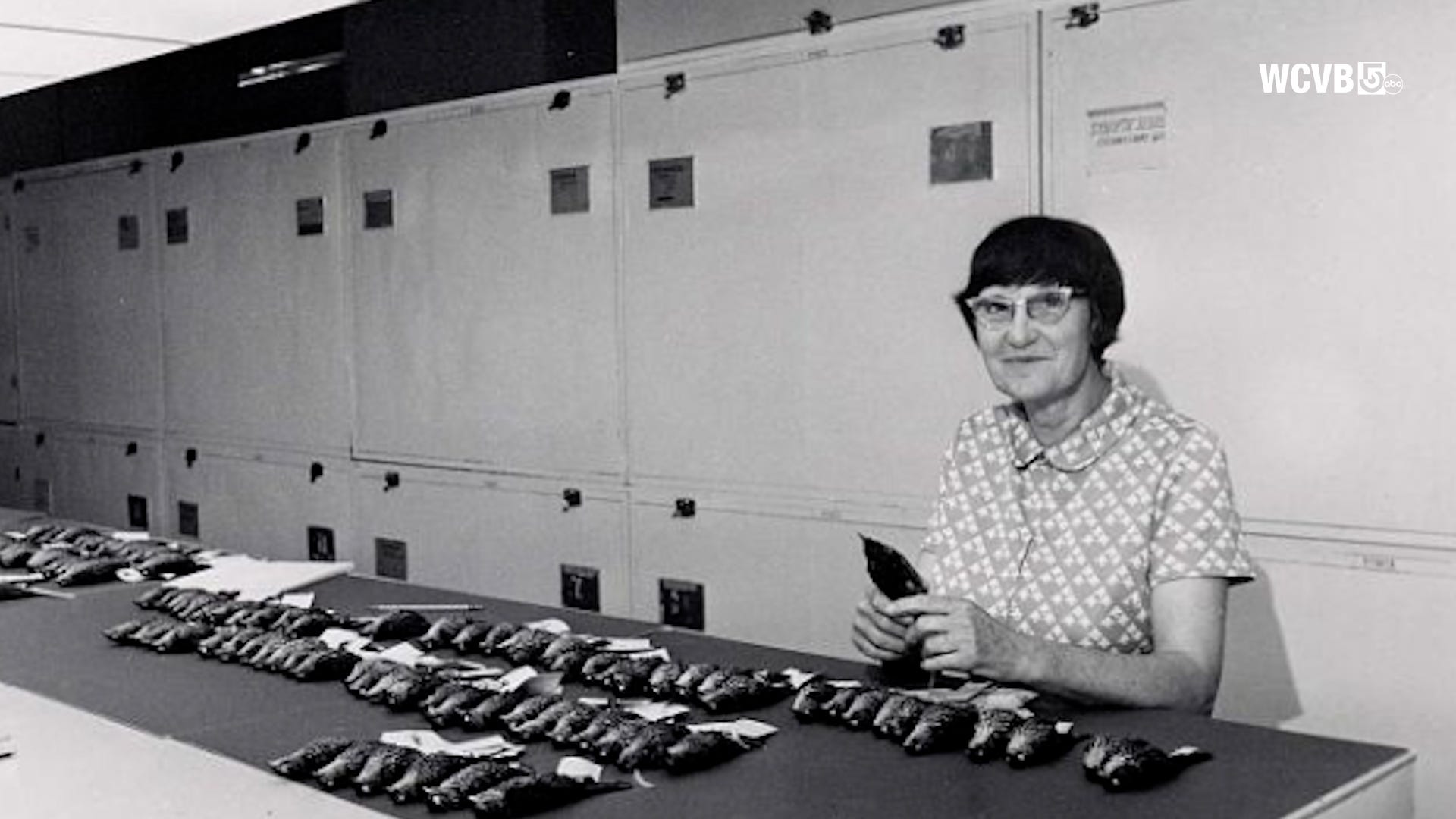 The deadly Boston plane crash that combined feathers and forensics for ...