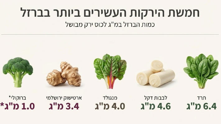 ירקות עשירים בברזל (צילום: מעריב אונליין)