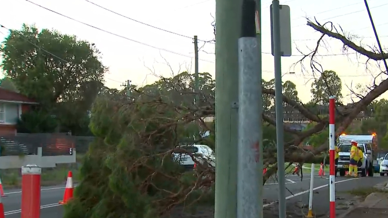Thousands remain without power as NSW faces huge storm clean up