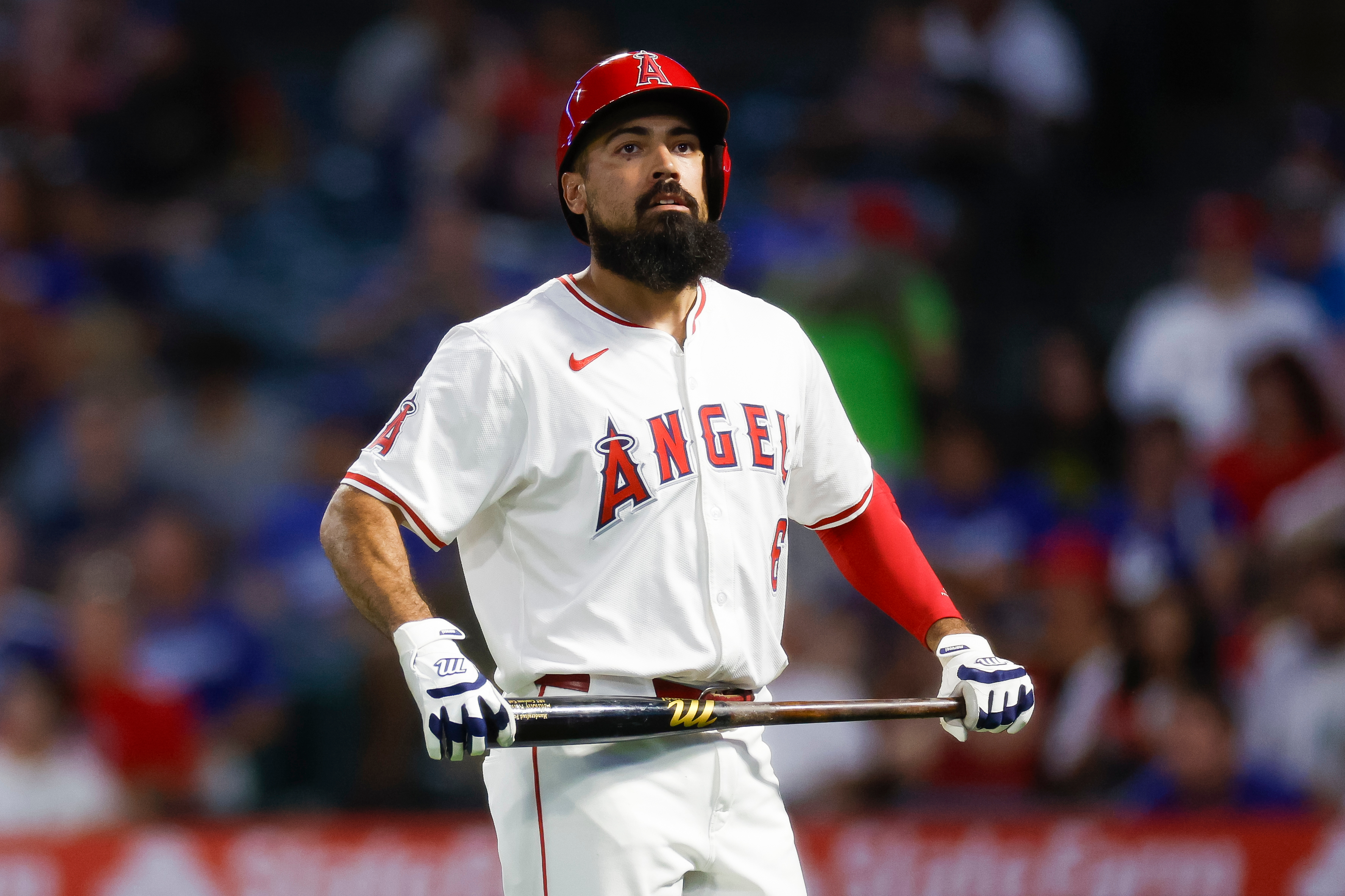 Anthony Rendon nearing Angels buyout after $245 million contract disaster