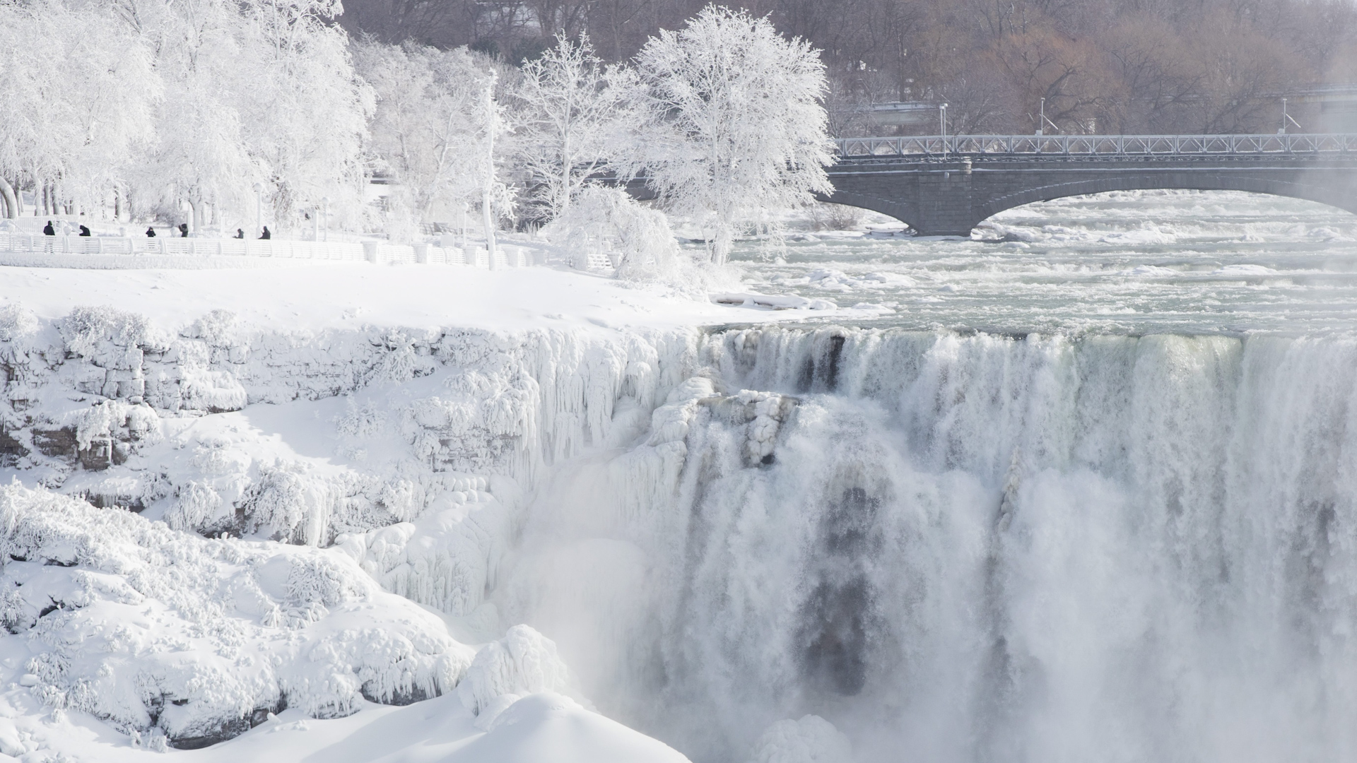 Polar vortex set to bring early winter blast to much of Canada next week