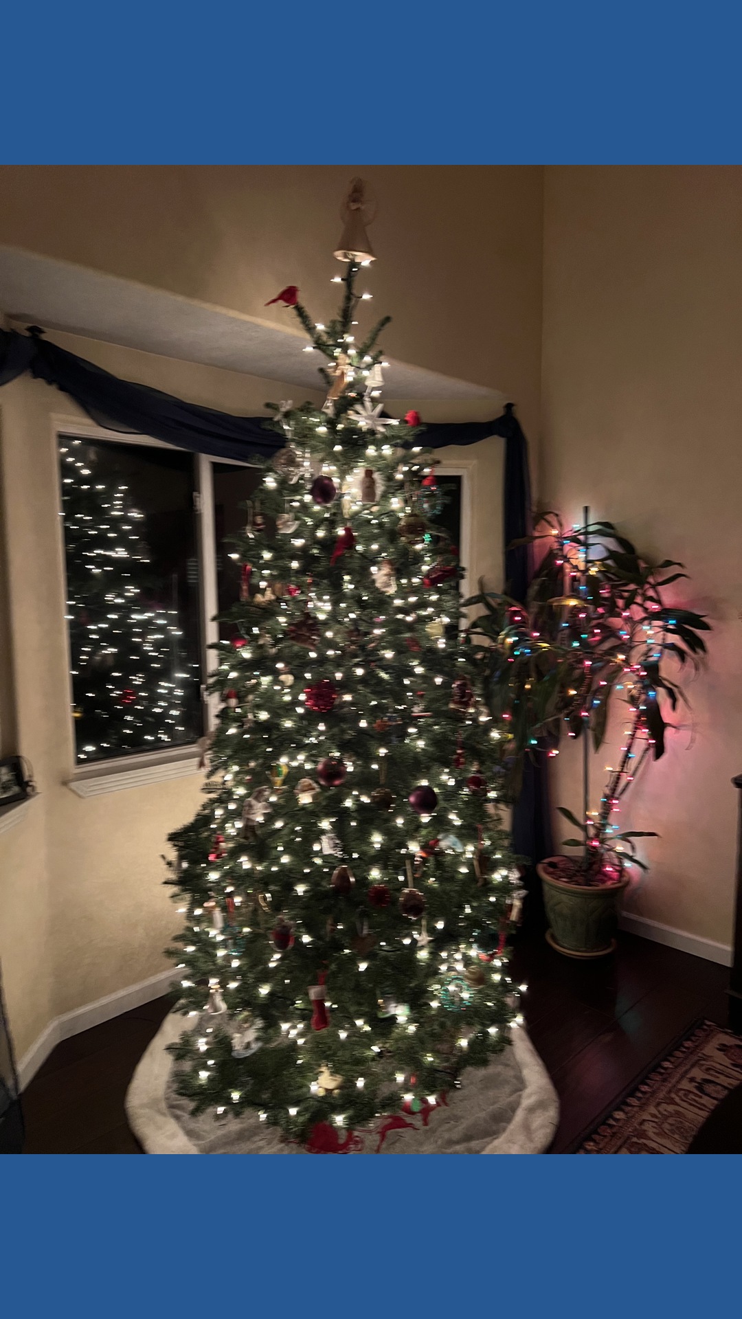 Drink responsibly this holiday season