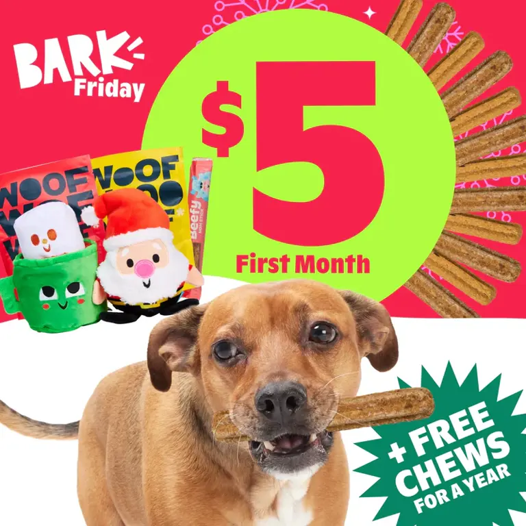 BarkBox Black Friday Deal for 2025