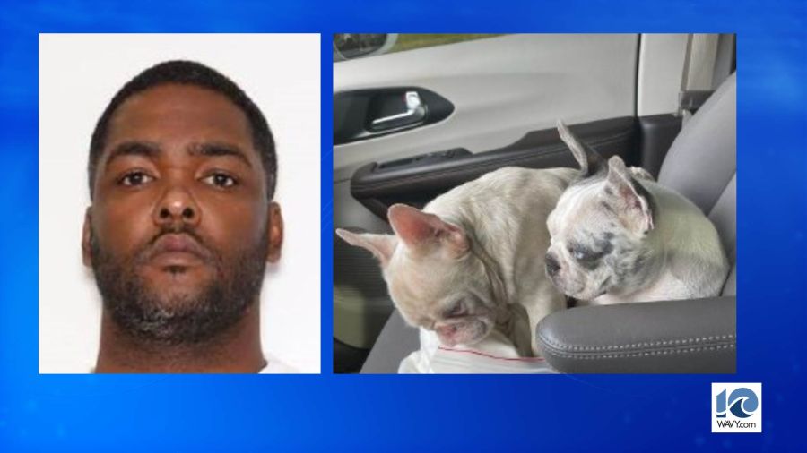 Newport News man charged with armed robbery of French Bulldogs