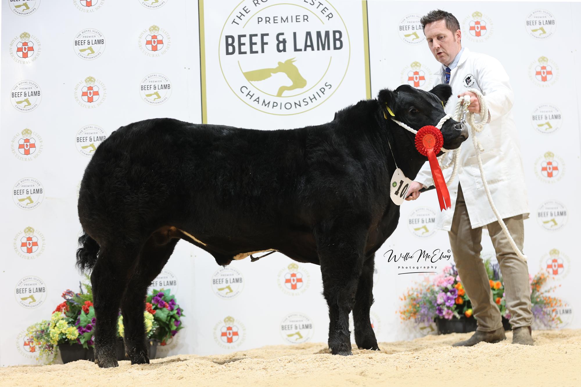 Crowds surge to thriving Beef and Lamb Championships