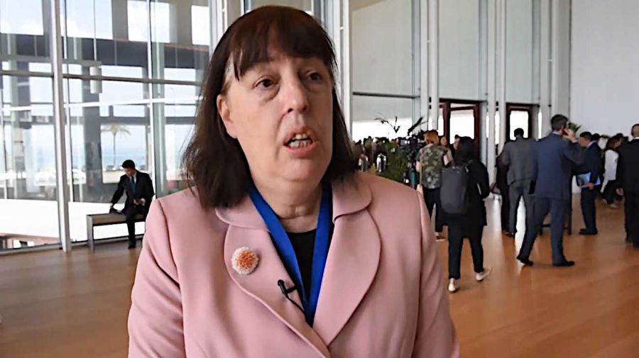 Virginia Gamba se desempeñó como Representante Especial del Secretario General