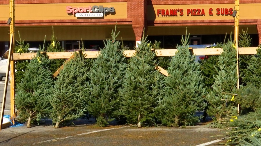 Local Christmas tree lot expects boost in sales following Thanksgiving ...