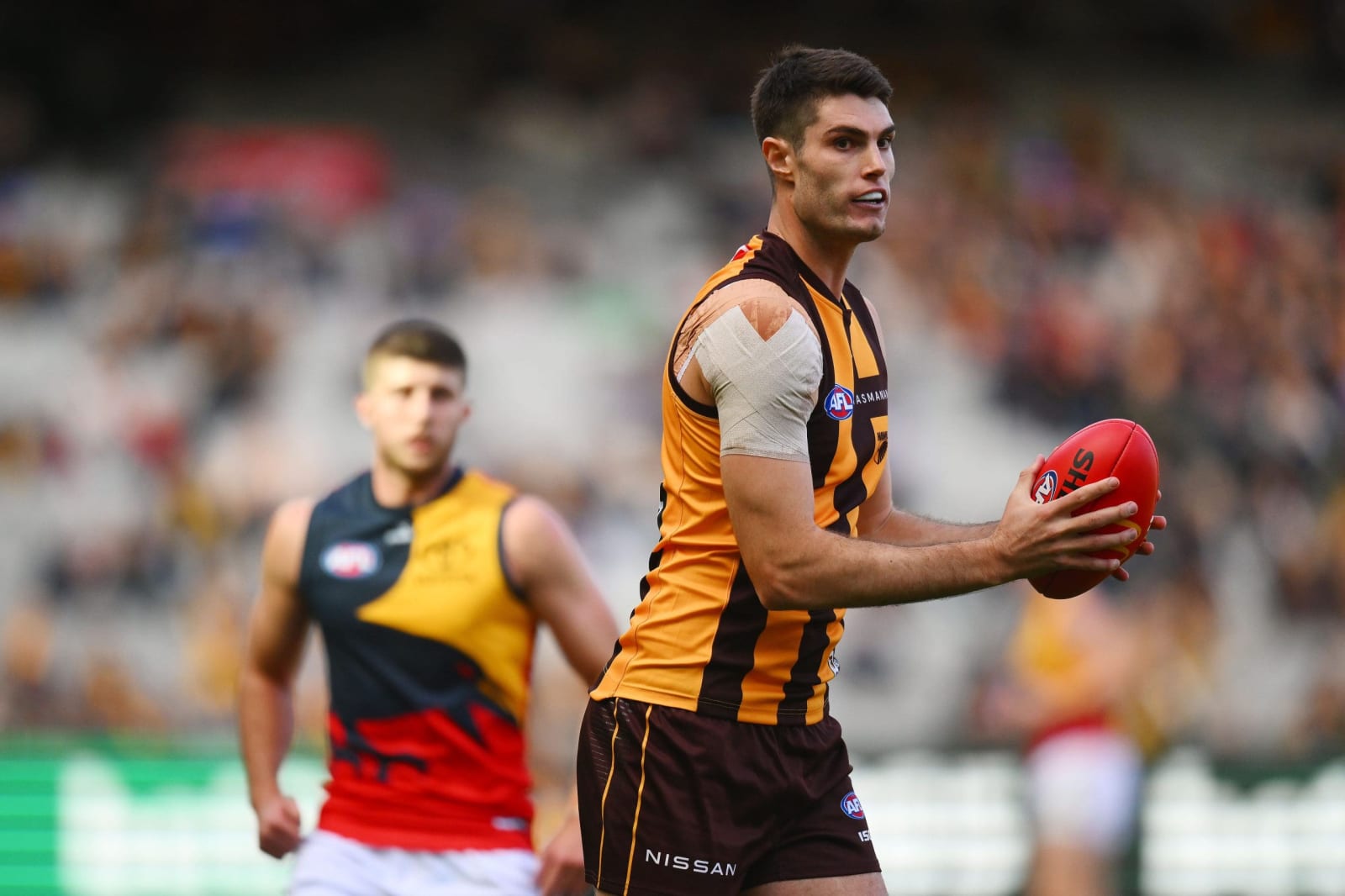 Hawthorn ruck signs extension amid rival interest