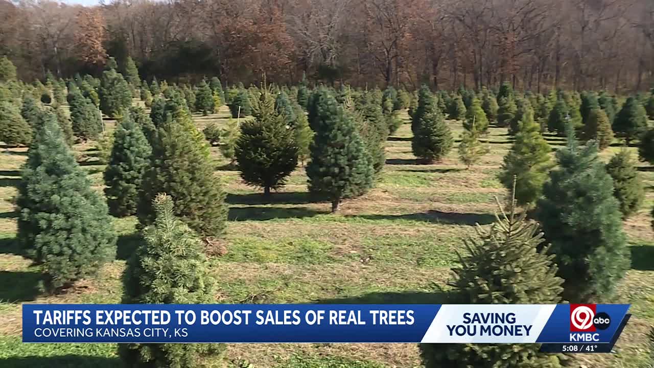 Tariffs on artificial trees may mean a business boost for local ...
