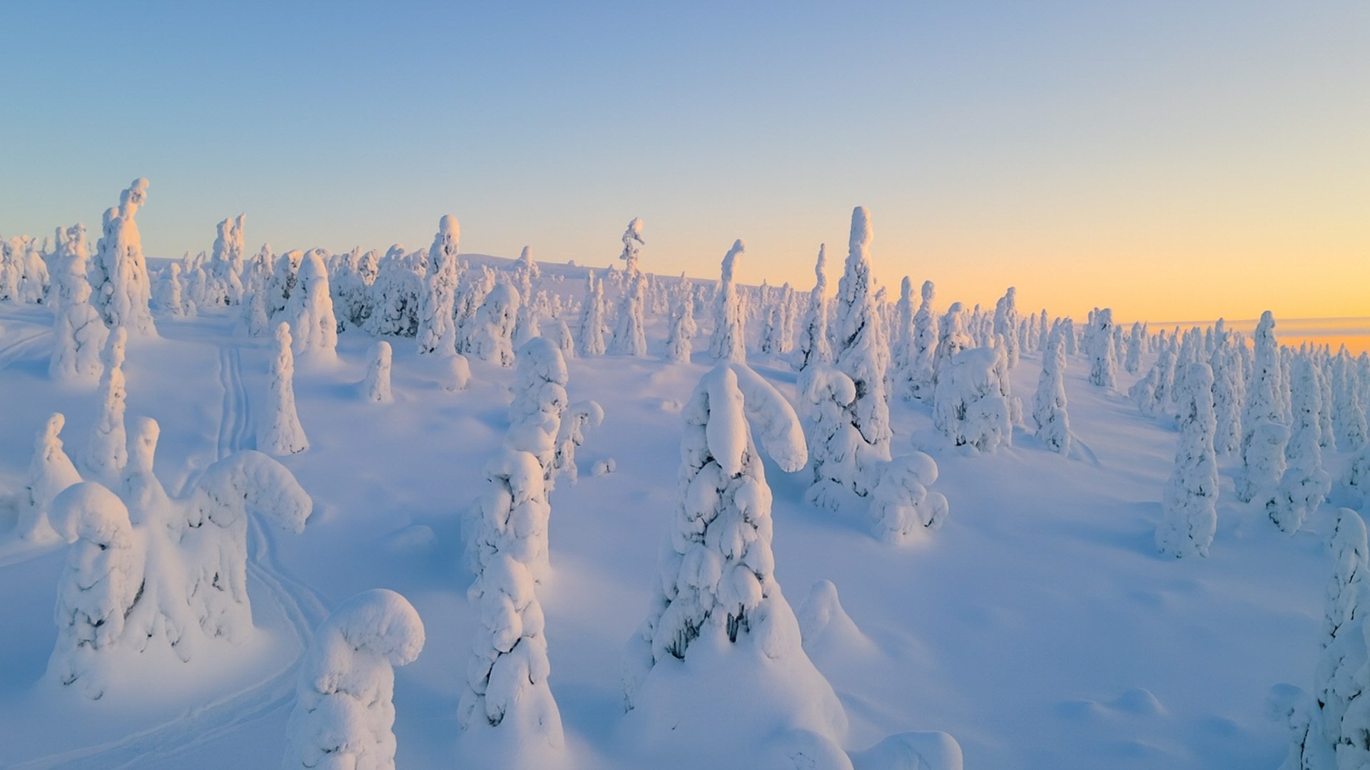 The Frozen Wonderland of Finland