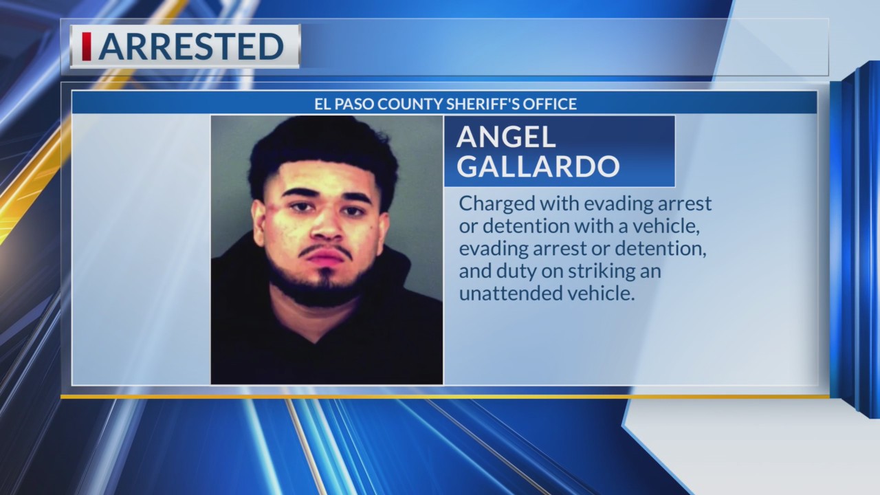 Hit-and-run suspect caught after pursuit in Horizon