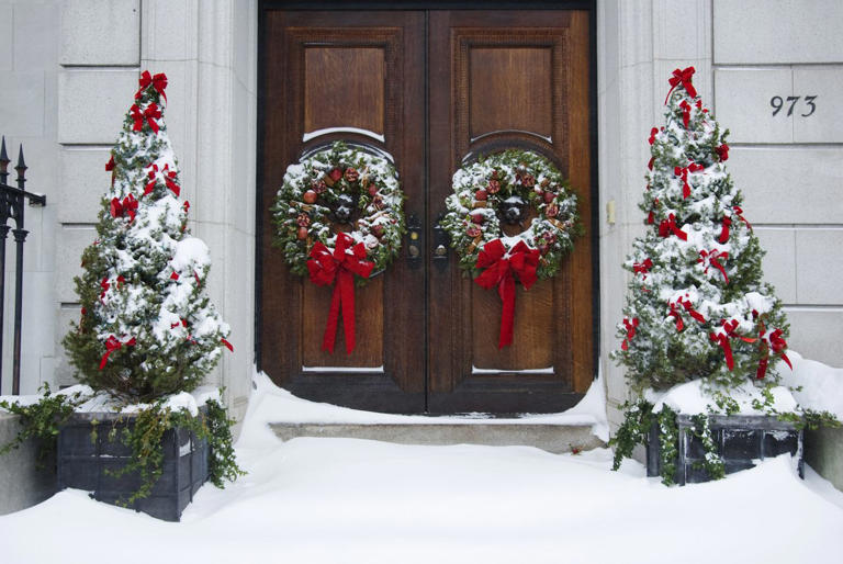 How To Keep A Potted Christmas Tree Alive All Season Long