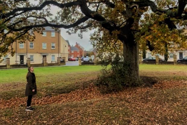 Tree identification trail set to be introduced across Swindon parish