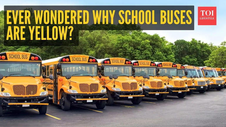 Ever wondered why school buses are yellow? Here’s the answer